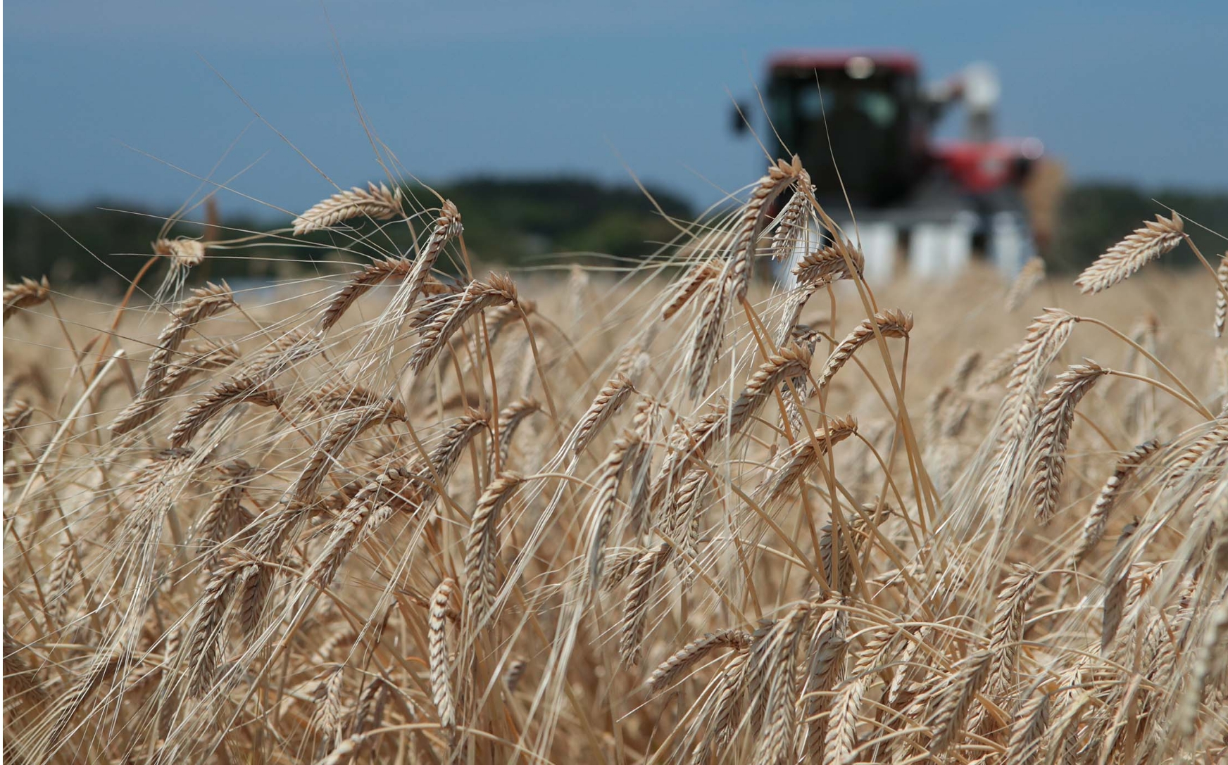 国産飼料へのこだわり