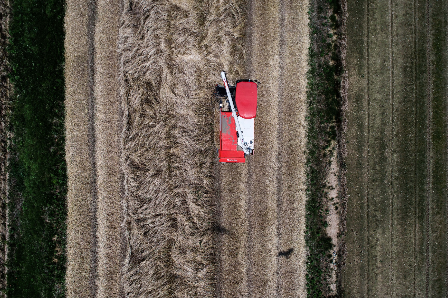 自然循環型を目指して