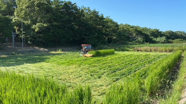 ホームページをリニューアルしました。