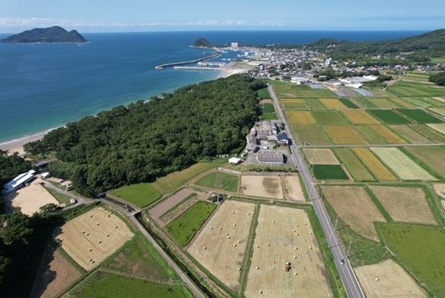 お知らせ記事写真