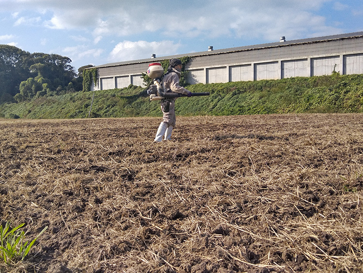 お知らせ記事写真