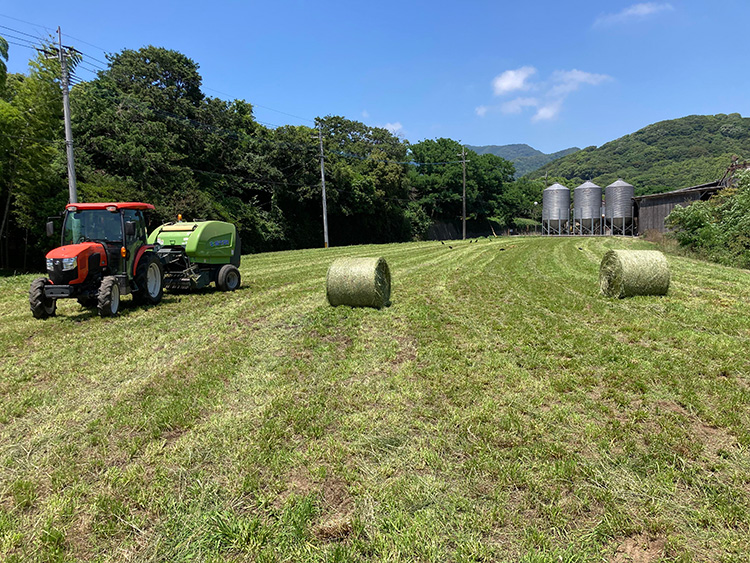 お知らせ記事写真