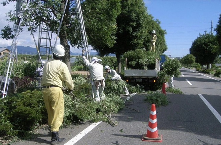 お知らせ記事写真