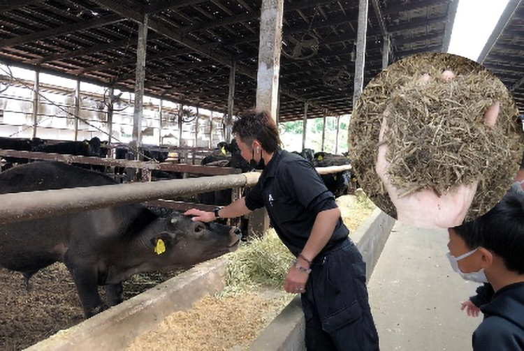 お知らせ記事写真