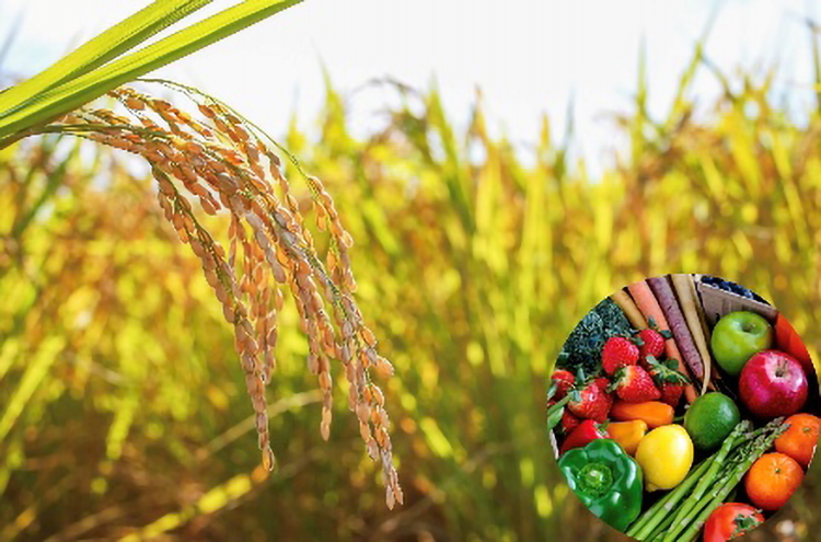 お知らせ記事写真