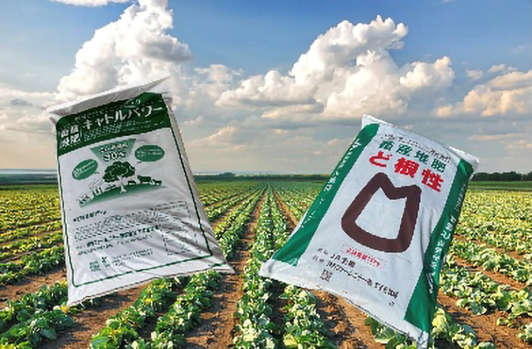 お知らせ記事写真